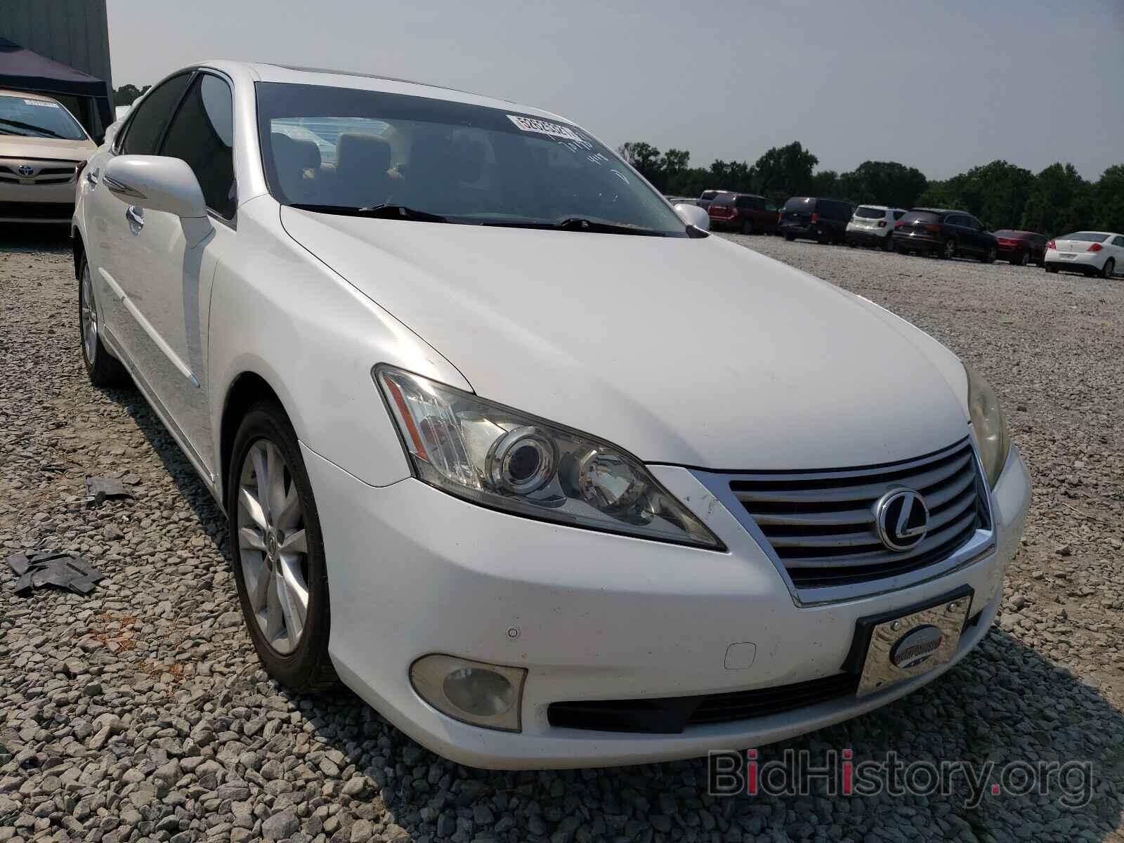 Фотография JTHBK1EG9B2424118 - LEXUS ES350 2011