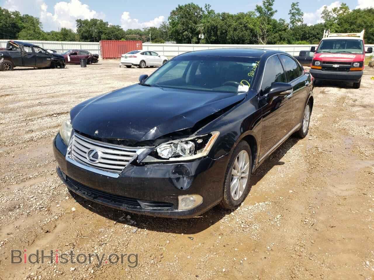 2011 LEXUS ES350 - VIN: JTHBK1EG8B2439399 - Фото 2