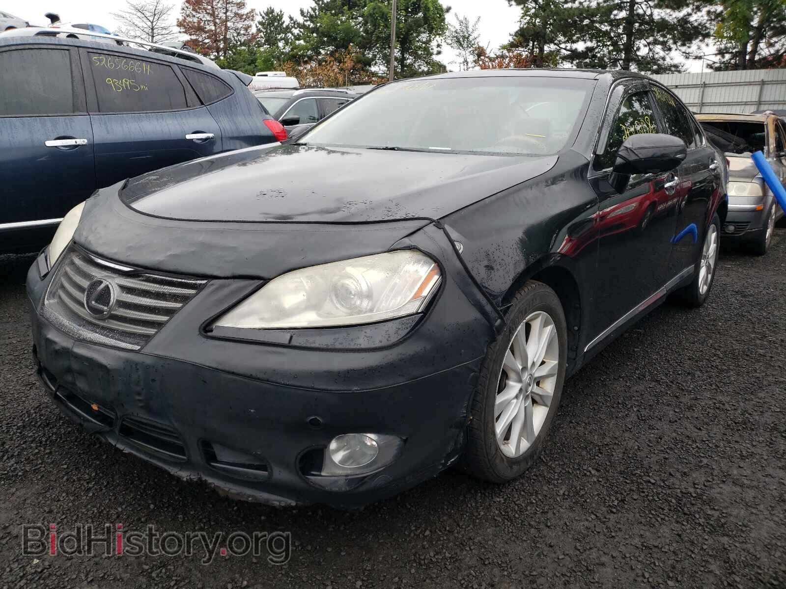 2010 LEXUS ES350 - VIN: JTHBK1EG7A2375516 - Фото 2