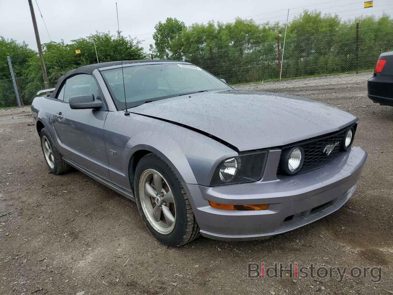 Photo 1ZVHT85H565195075 - FORD MUSTANG 2006