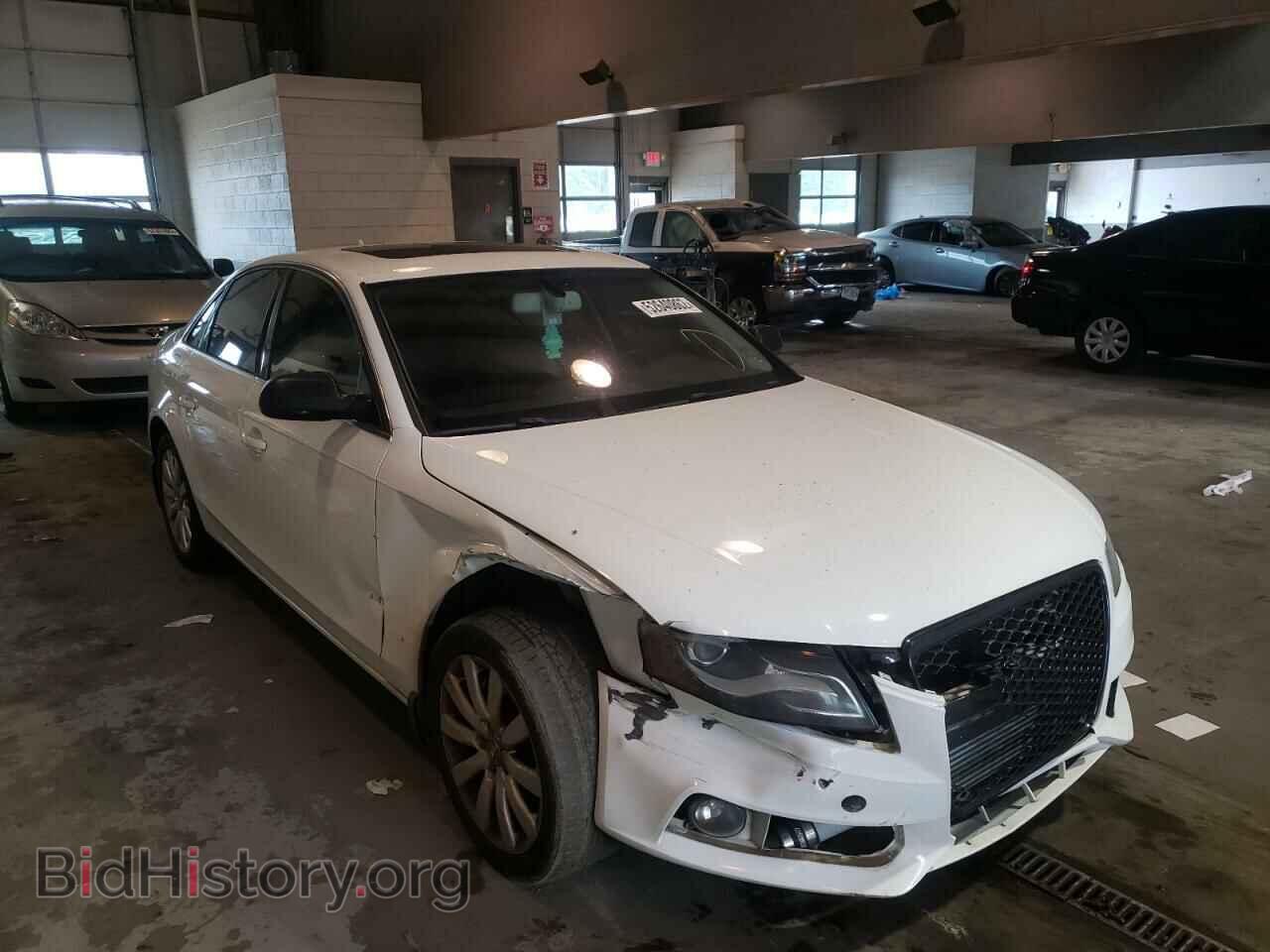 Фотография WAUFFAFL5BN018108 - AUDI A4 2011