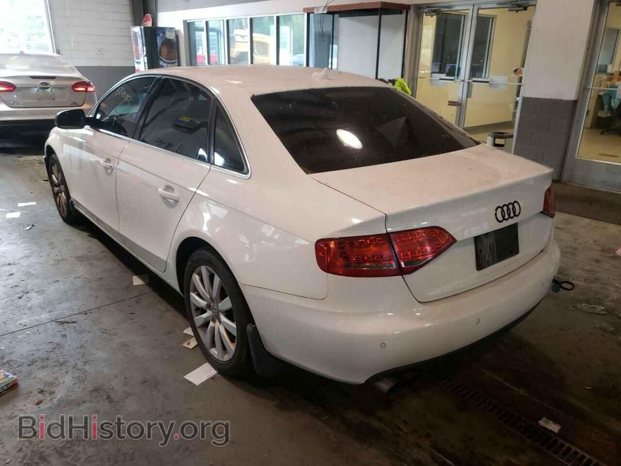 2011 AUDI A4 - VIN: WAUFFAFL5BN018108 - Фото 3