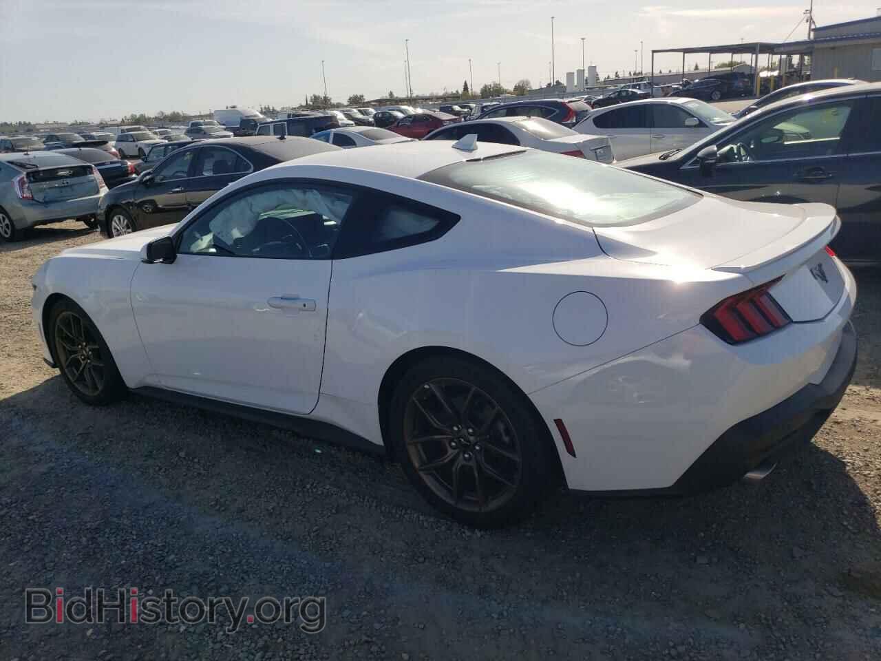2024 FORD ALL Models - VIN: 1FA6P8TH0R5122000 - Photo 2