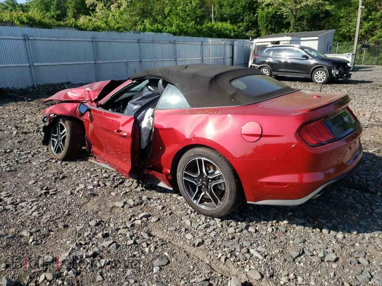 2023 FORD MUSTANG - VIN: 1FATP8UHXP5109561 - Фото 2