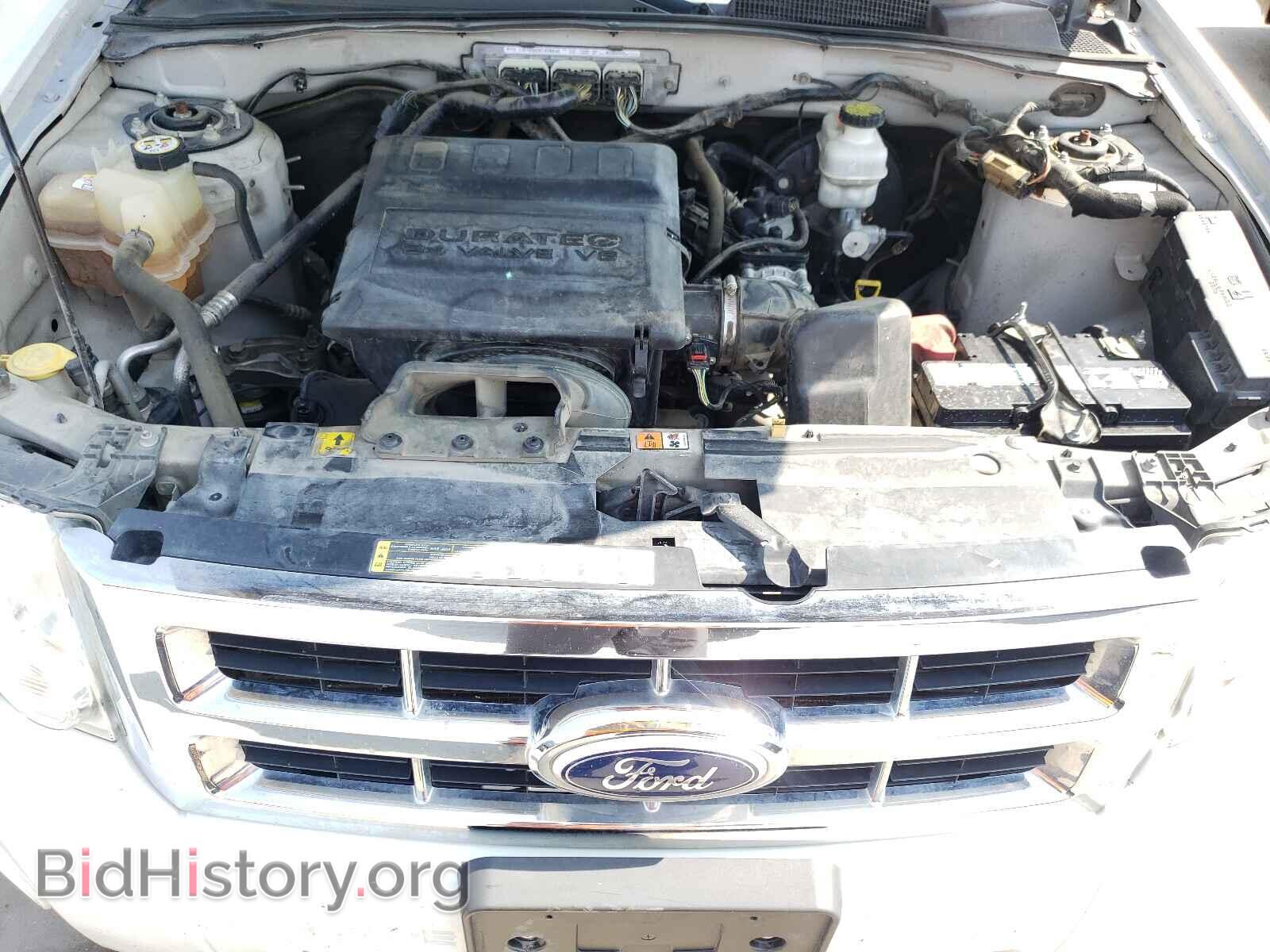 2010 FORD ESCAPE - VIN: 1FMCU0DG0AKD48911 - Фото 7