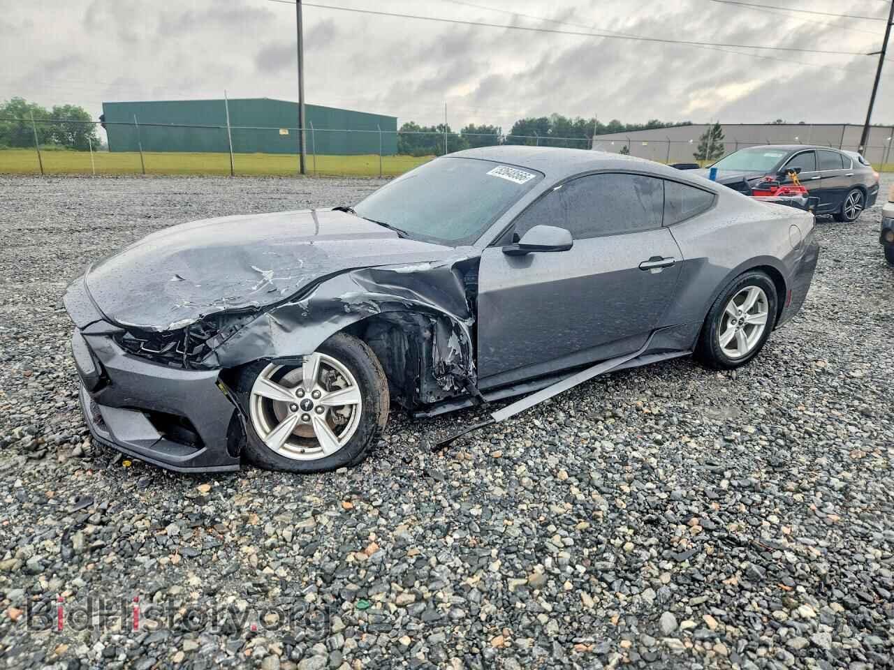 Фотография 1FA6P8TH4R5113848 - FORD MUSTANG 2024