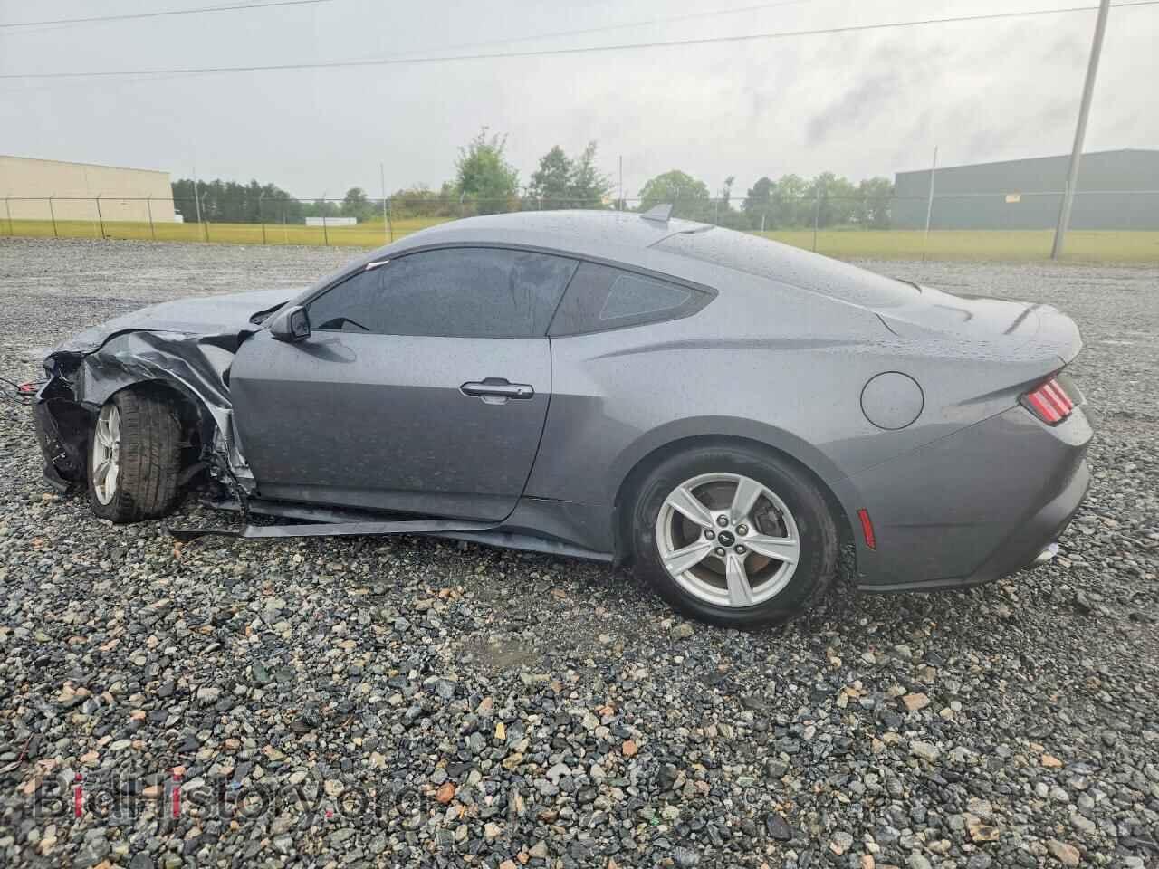 2024 FORD MUSTANG - VIN: 1FA6P8TH4R5113848 - Фото 2