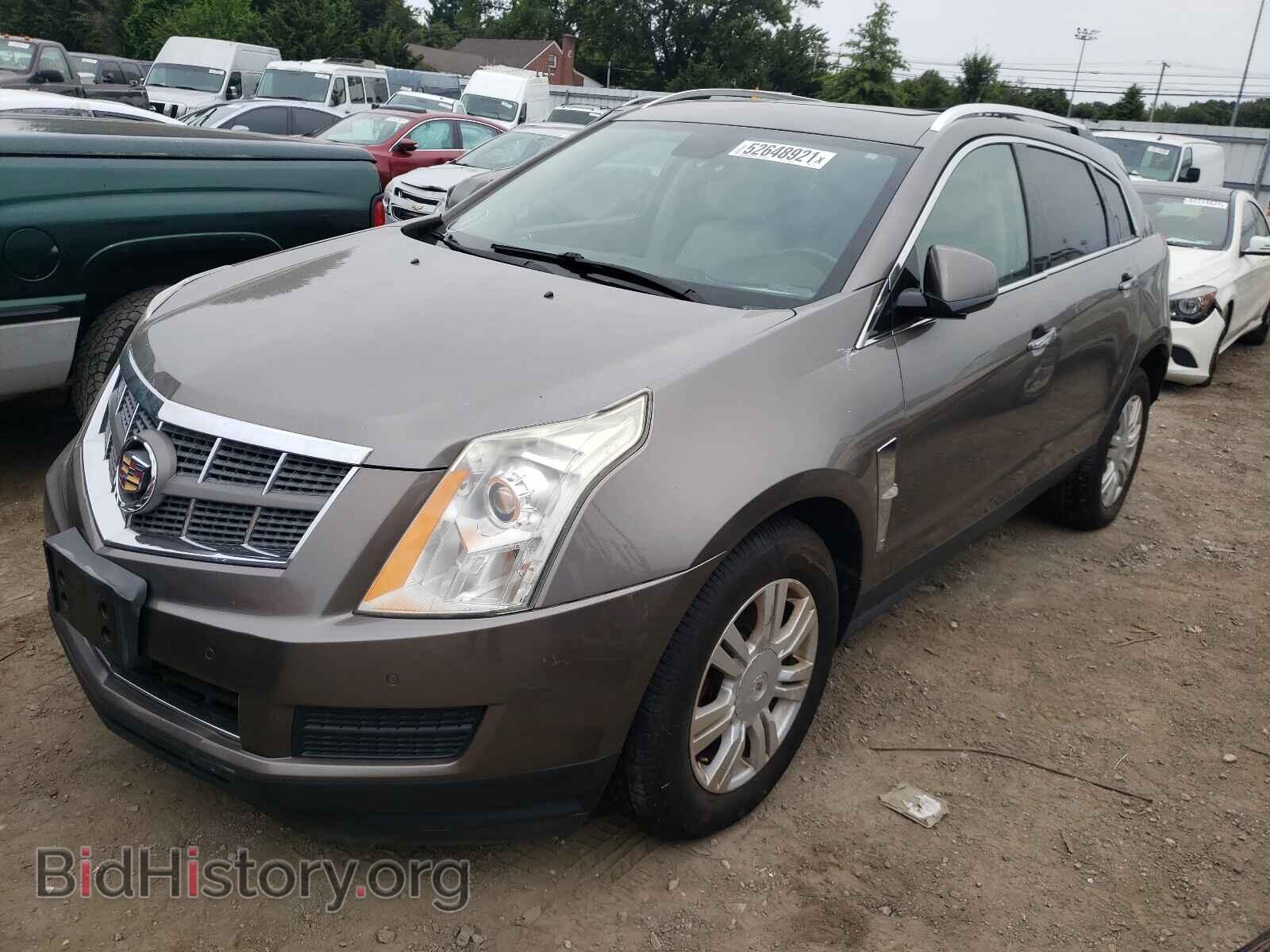 2011 CADILLAC SRX - VIN: 3GYFNDEYXBS513229 - Фото 2