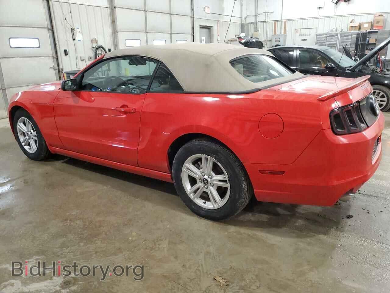 2014 FORD ALL Models - VIN: 1ZVBP8EM6E5234066 - Фото 2