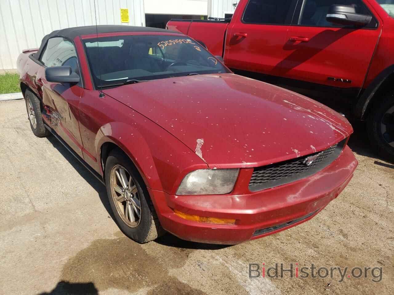 Photo 1ZVHT84N395104476 - FORD MUSTANG 2009