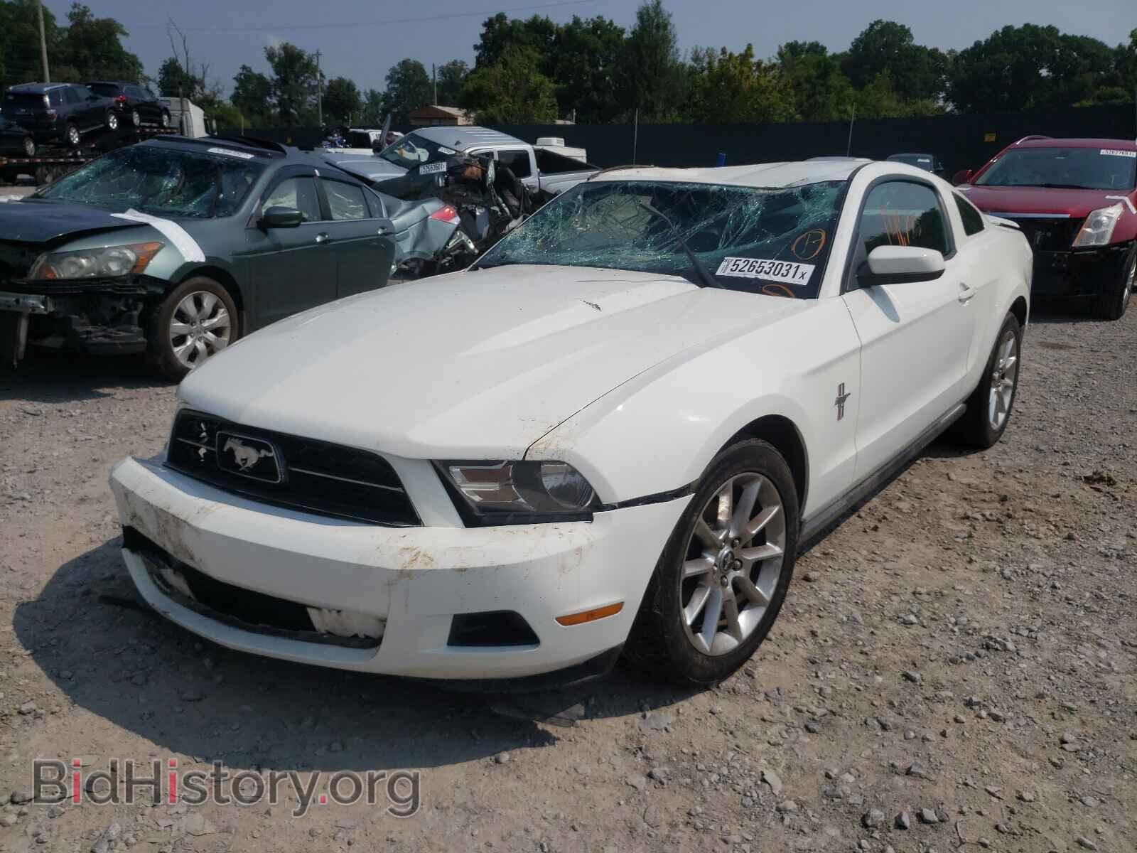 2010 FORD MUSTANG - VIN: 1ZVBP8AN7A5161640 - Фото 2