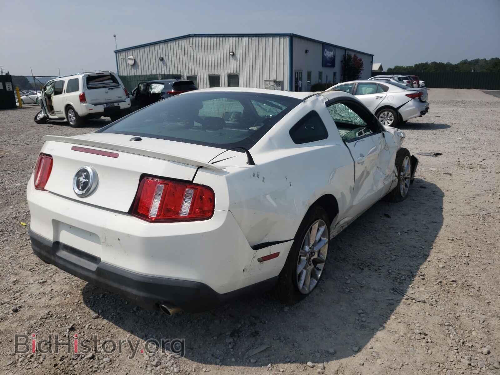2010 FORD MUSTANG - VIN: 1ZVBP8AN7A5161640 - Фото 4