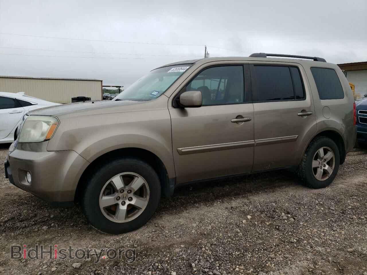 Фотография 5FNYF3H67BB020438 - HONDA PILOT 2011