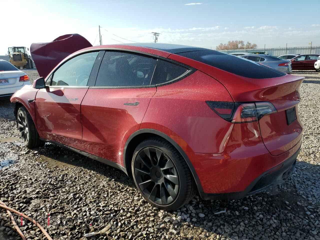2020 TESLA MODEL Y - VIN: 5YJYGDEE1LF045643 - Фото 2