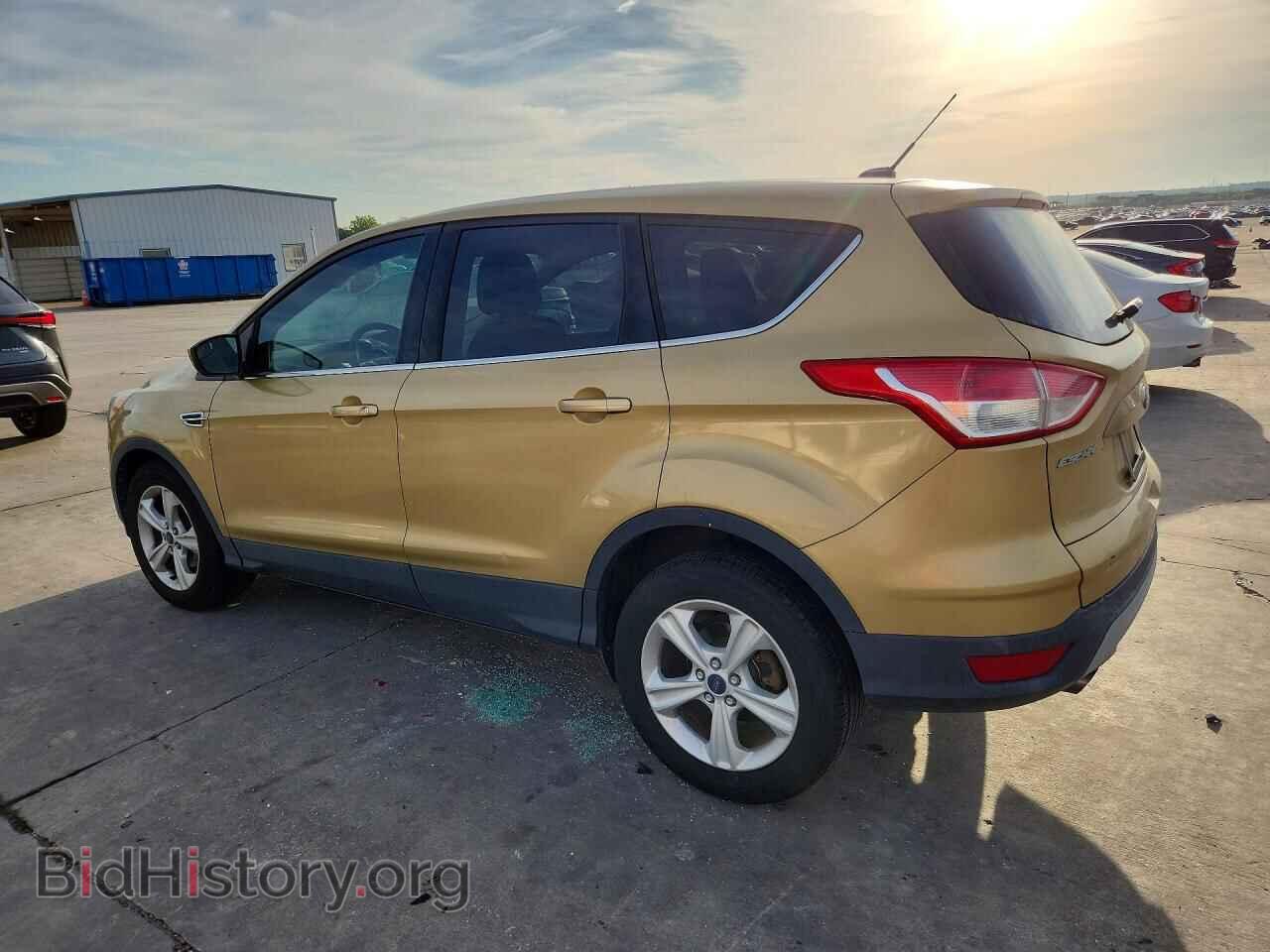 2014 FORD ESCAPE - VIN: 1FMCU0GX4EUB97433 - Фото 2