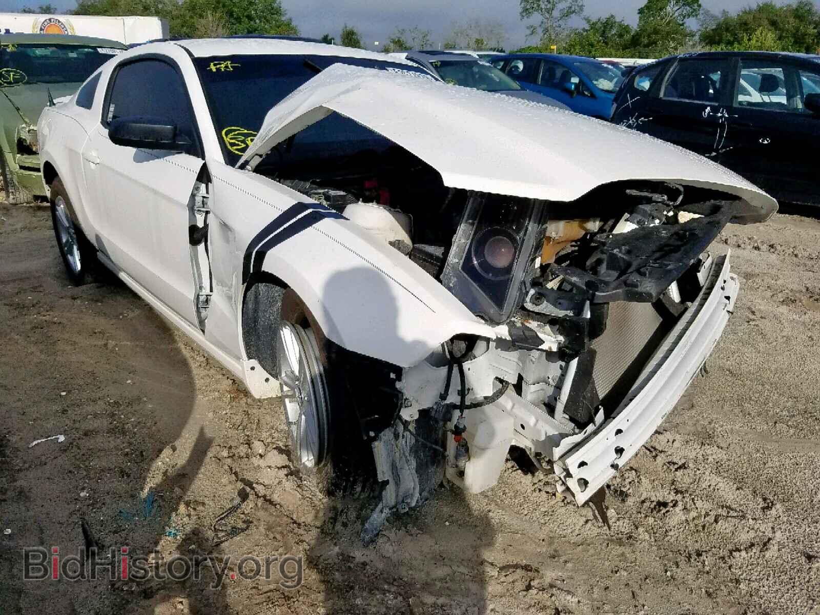 Фотография 1ZVBP8AM9D5281452 - FORD MUSTANG 2013