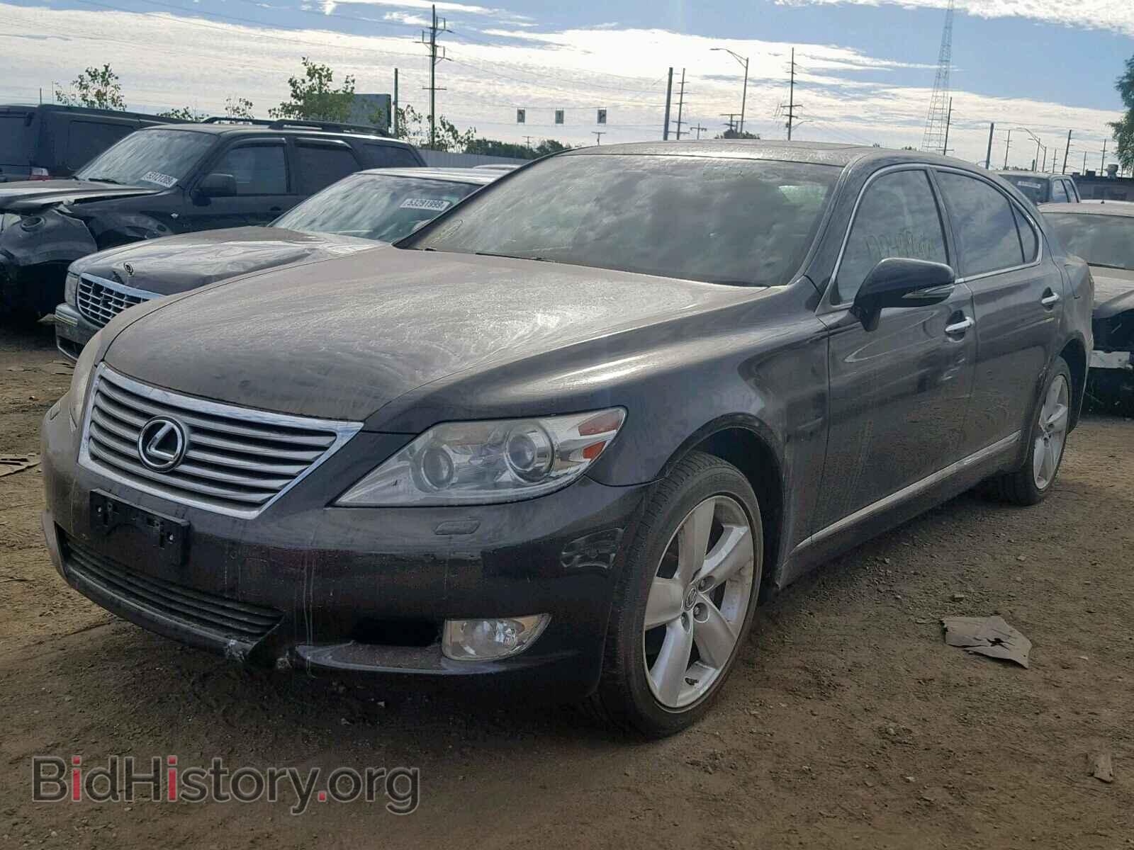2010 LEXUS LS460 - VIN: JTHGL5EF3A5041533 - Фото 2