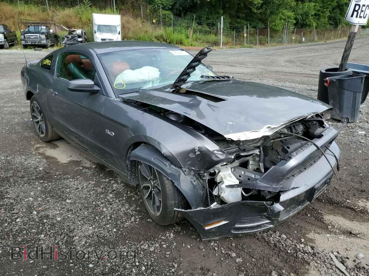 Фотография 1ZVBP8CF1E5329770 - FORD MUSTANG 2014