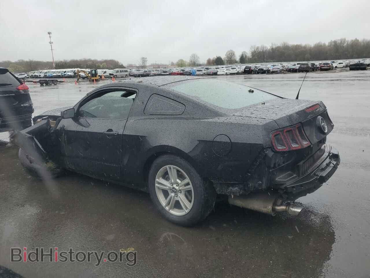 2014 FORD ALL Models - VIN: 1ZVBP8AM8E5202385 - Фото 2