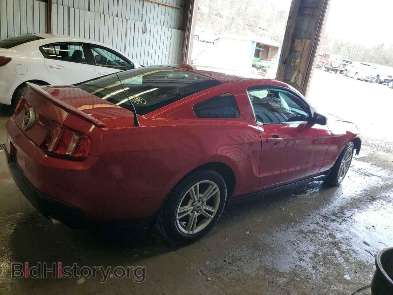 2010 FORD ALL Models - VIN: 1ZVBP8AN8A5132731 - Фото 3