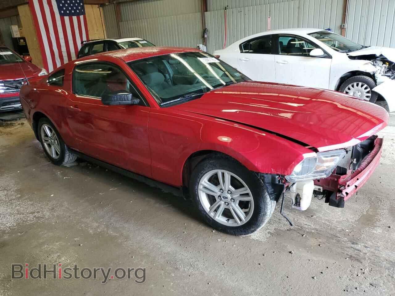 2010 FORD ALL Models - VIN: 1ZVBP8AN8A5132731 - Фото 4