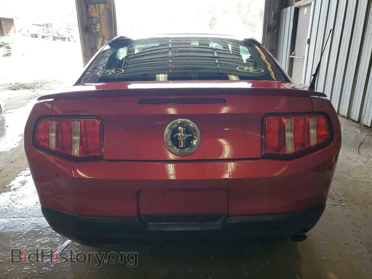 2010 FORD ALL Models - VIN: 1ZVBP8AN8A5132731 - Фото 6