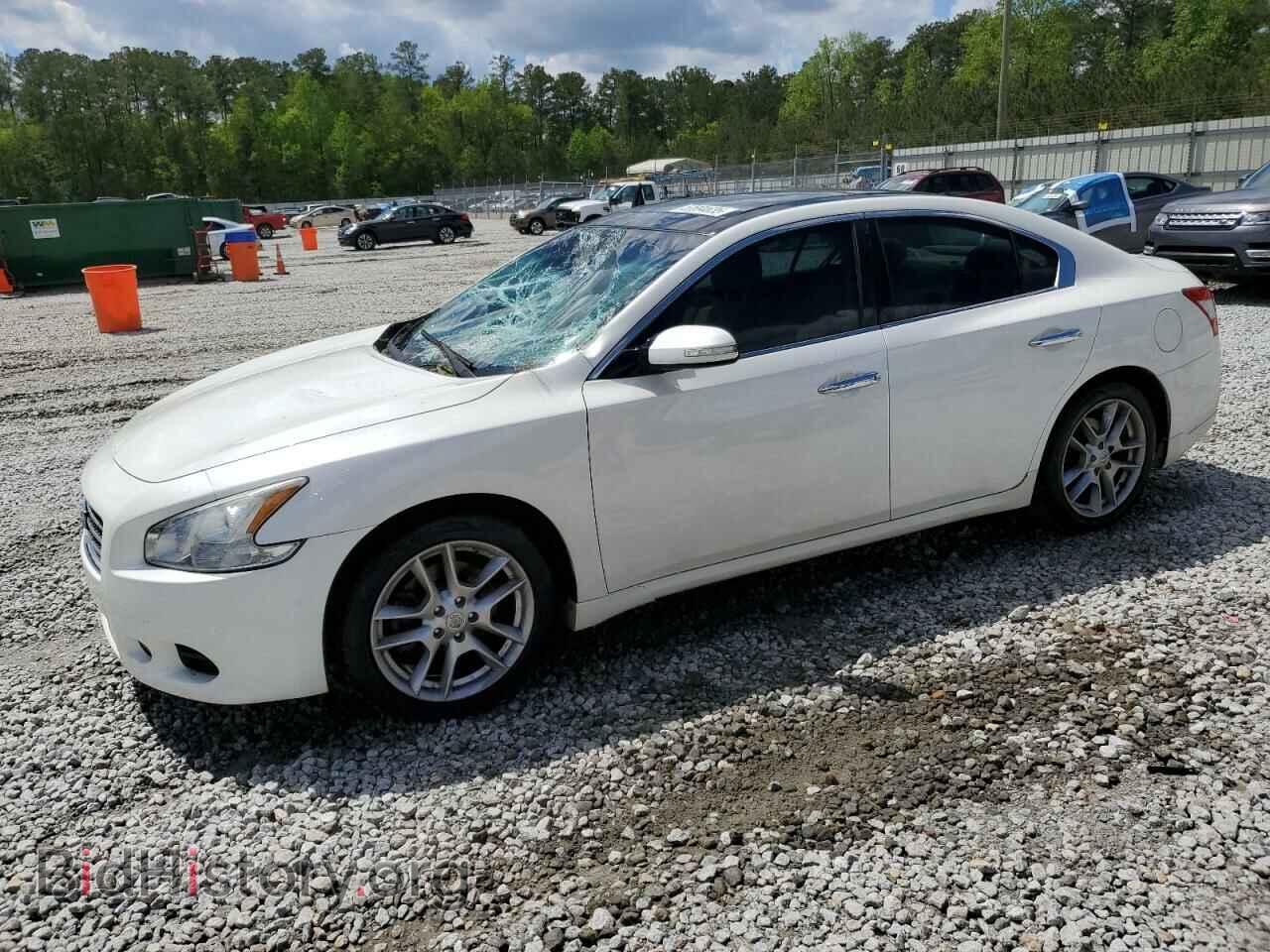 Photo 1N4AA5AP1BC850656 - NISSAN MAXIMA 2011