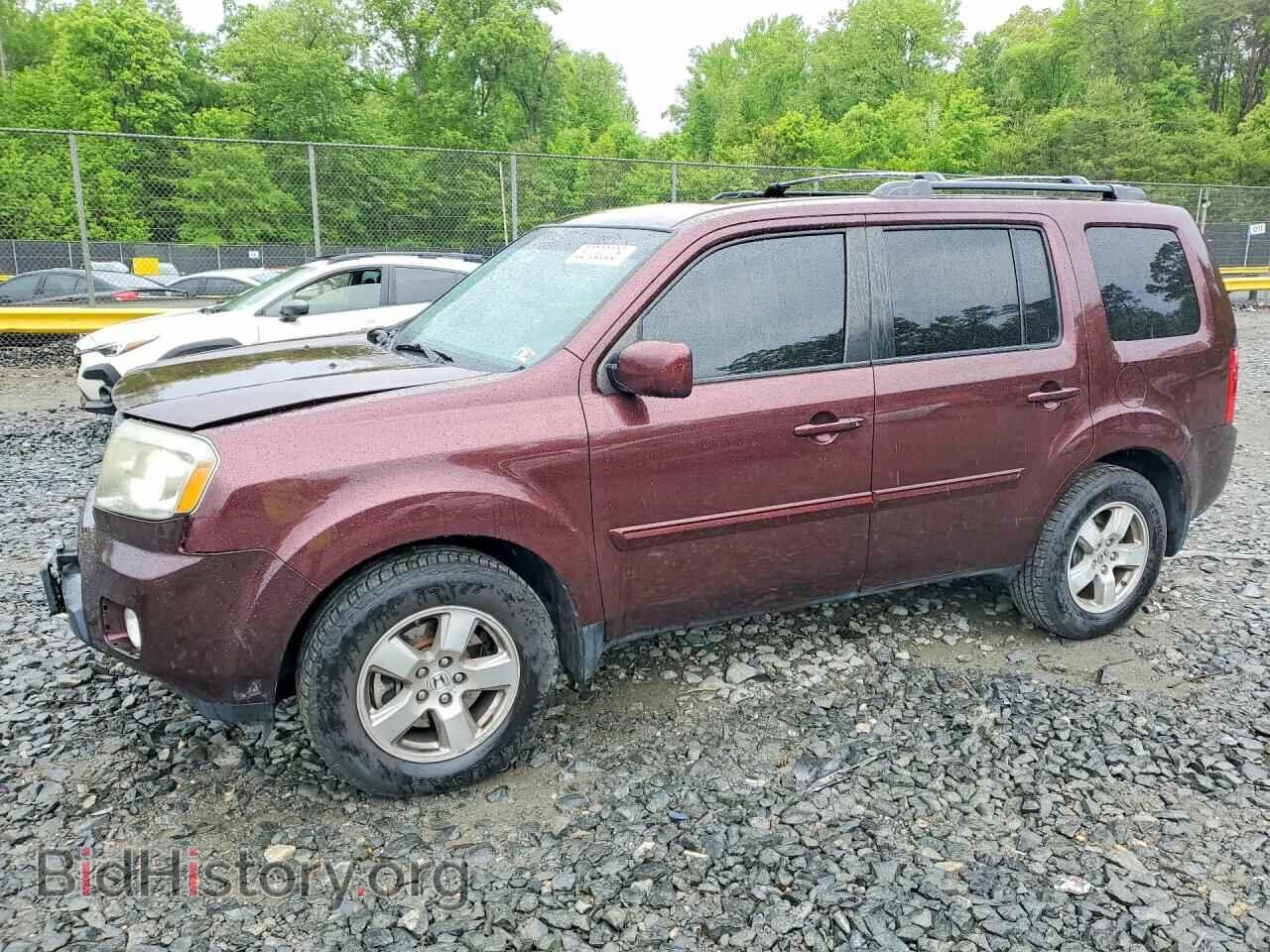 Фотография 5FNYF4H44BB094548 - HONDA PILOT 2011