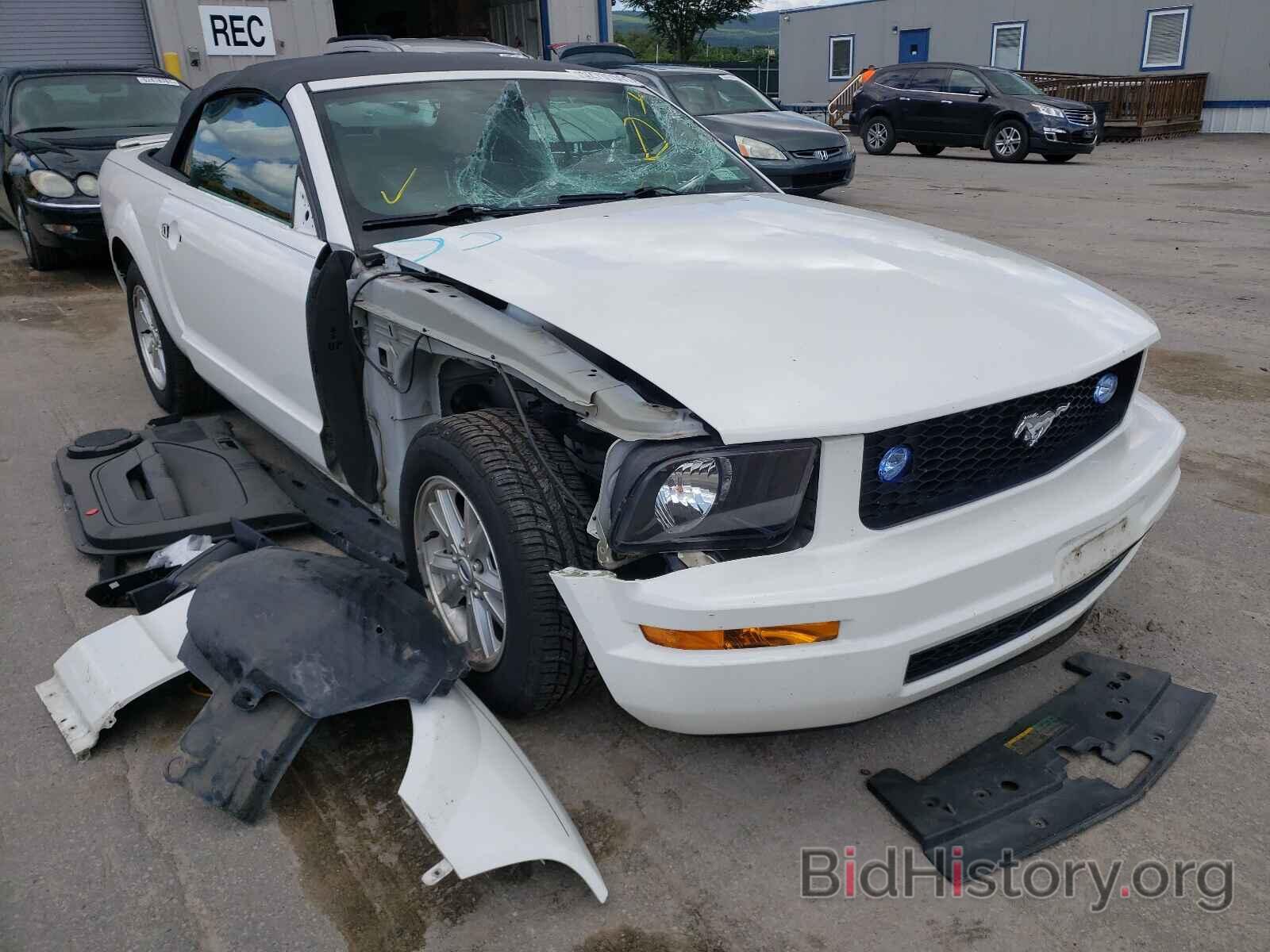 Photo 1ZVFT84N175280933 - FORD MUSTANG 2007