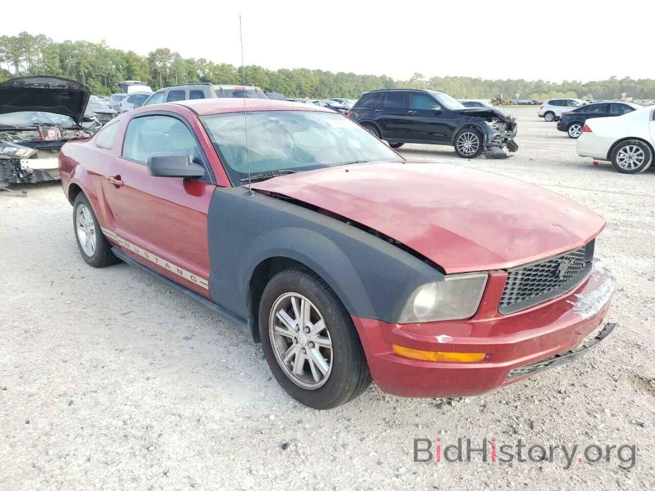 Photo 1ZVHT80N885111024 - FORD MUSTANG 2008