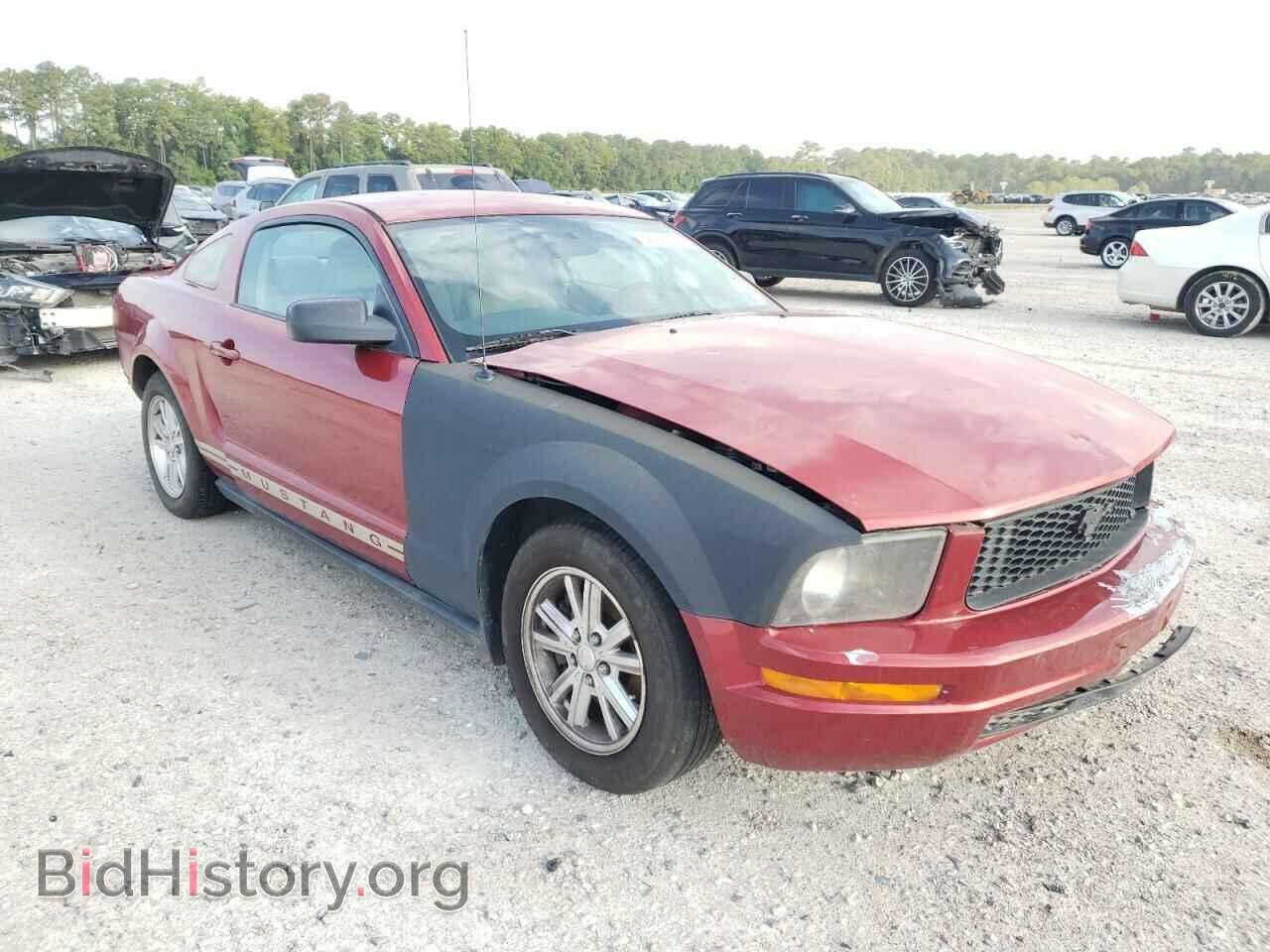 Photo 1ZVHT80N885111024 - FORD MUSTANG 2008