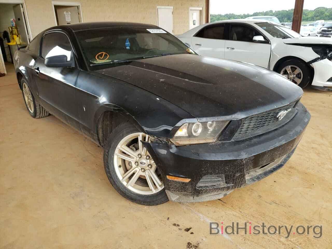 Photo 1ZVBP8AN1A5138998 - FORD MUSTANG 2010