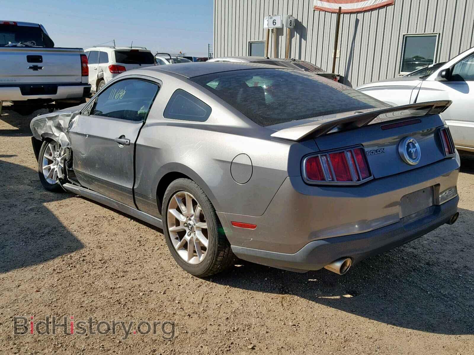 2011 FORD MUSTANG - VIN: 1ZVBP8AM5B5113854 - Фото 3