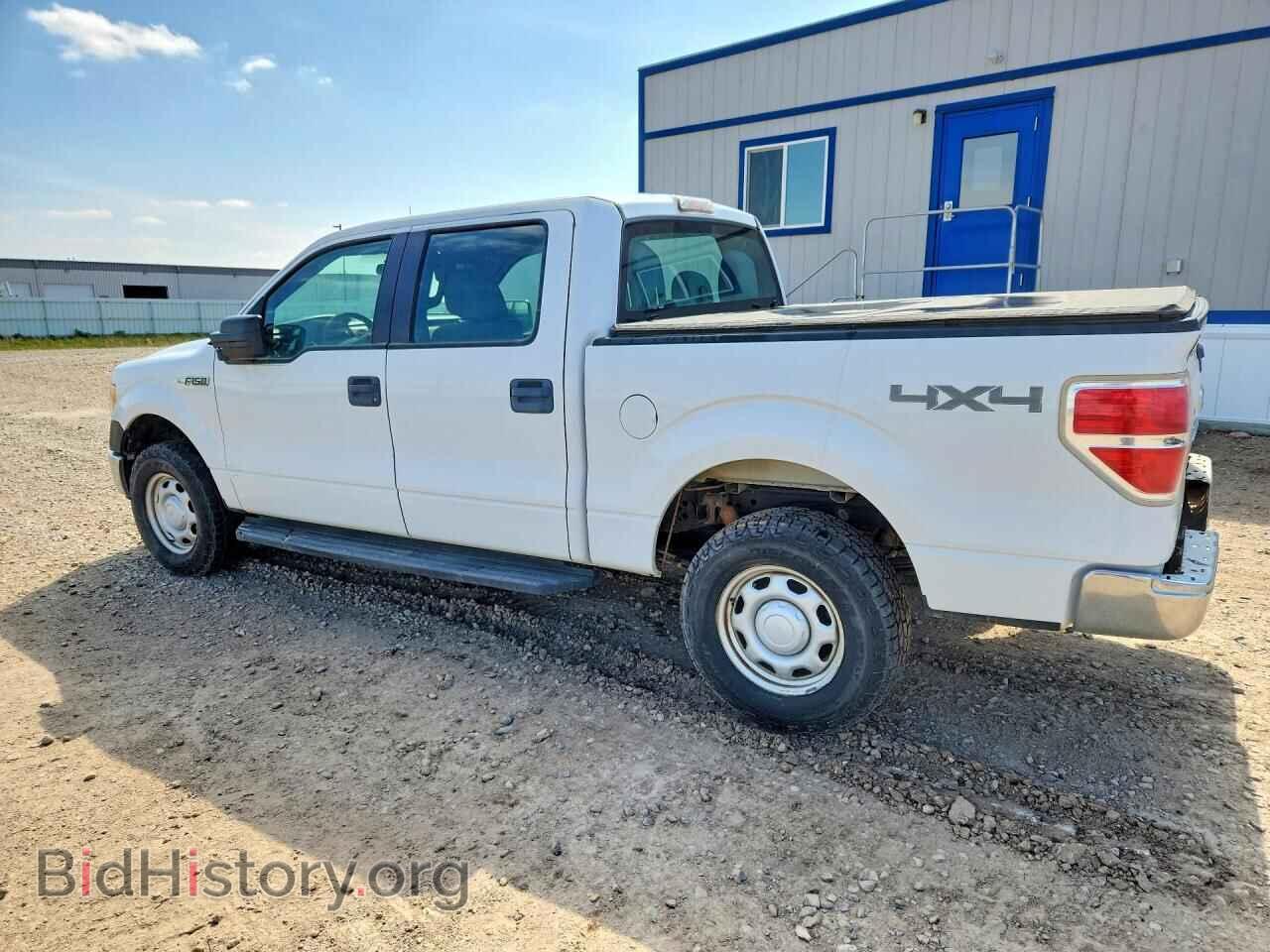2011 FORD F150 - VIN: 1FTFW1EF8BFD31209 - Фото 2