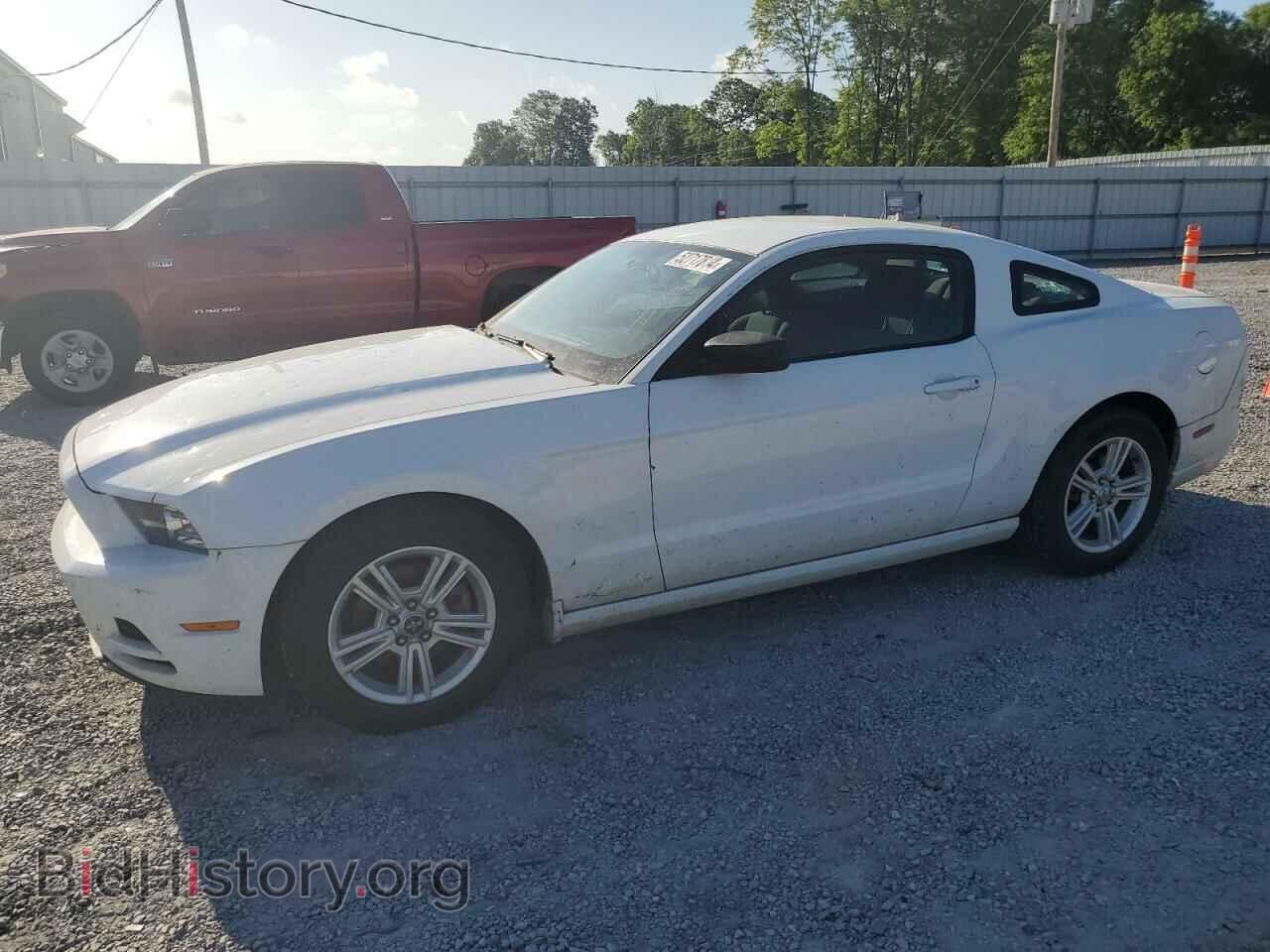 Photo 1ZVBP8AM3E5290178 - FORD ALL Models 2014