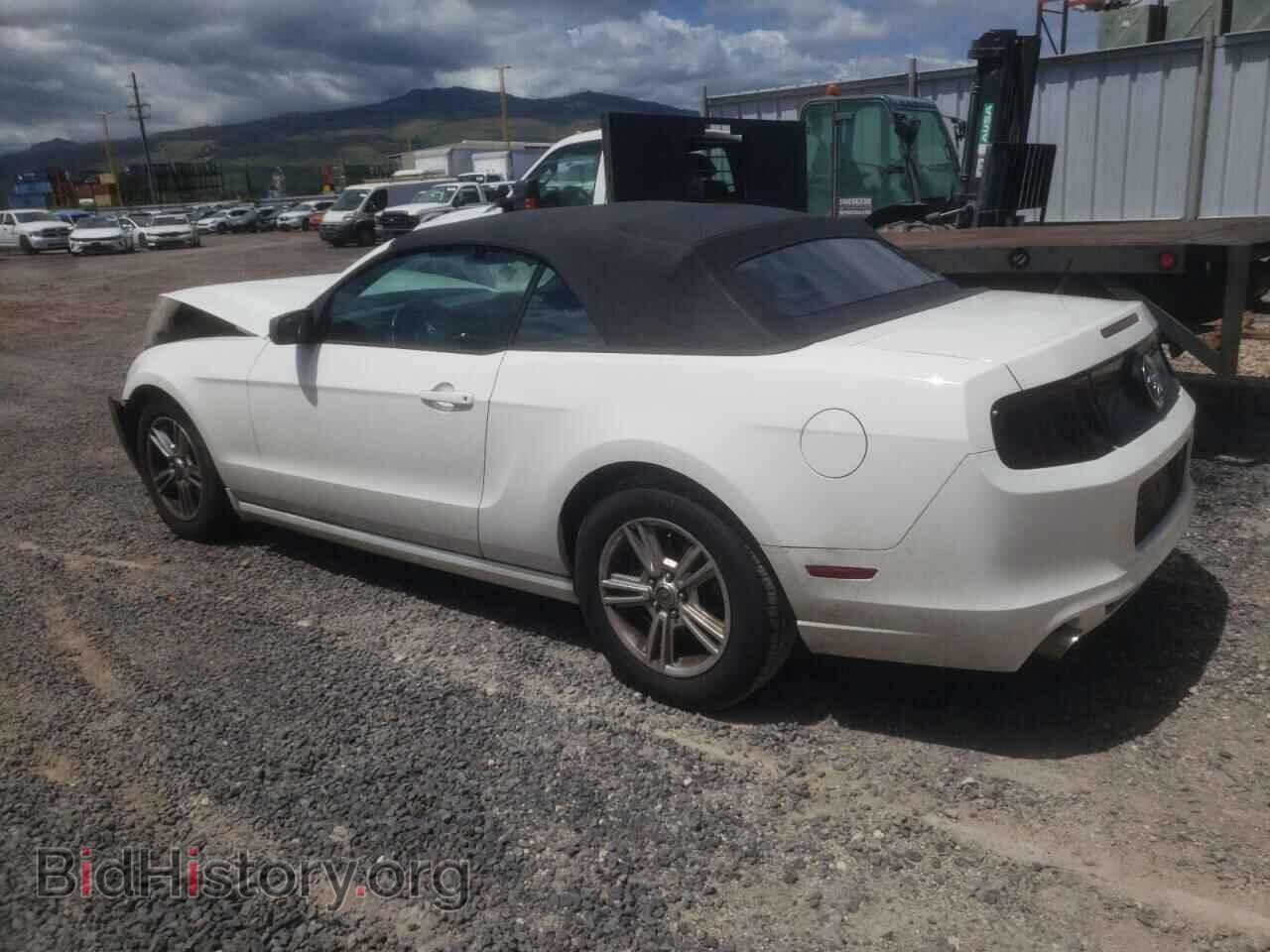 2013 FORD ALL Models - VIN: 1ZVBP8EM1D5239254 - Фото 2
