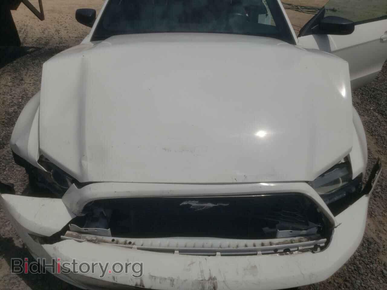 2013 FORD ALL Models - VIN: 1ZVBP8EM1D5239254 - Фото 11