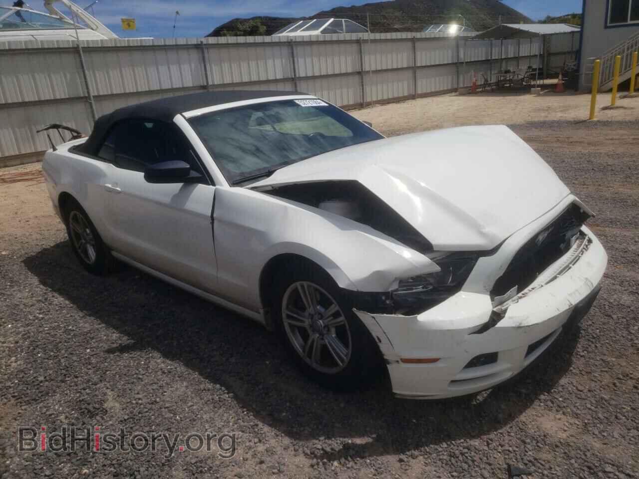 2013 FORD ALL Models - VIN: 1ZVBP8EM1D5239254 - Фото 4