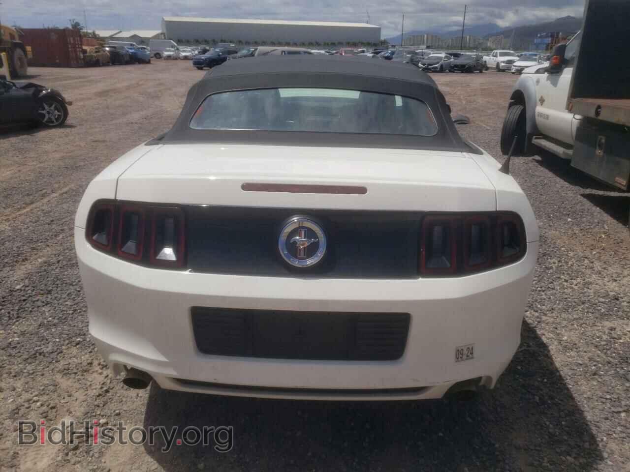 2013 FORD ALL Models - VIN: 1ZVBP8EM1D5239254 - Фото 6