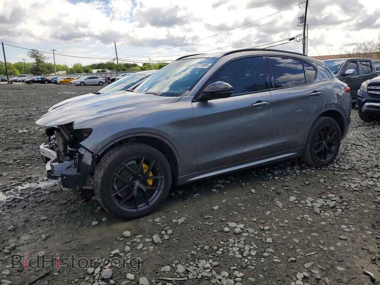 Фотография ZASPAKANXL7C99176 - ALFA ROMEO STELVIO 2020