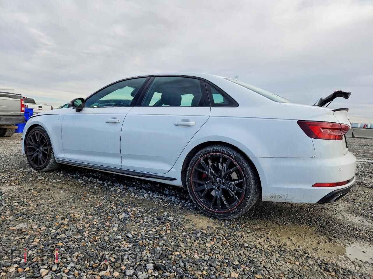 2019 AUDI A4 - VIN: WAUENAF4XKA065116 - Photo 2