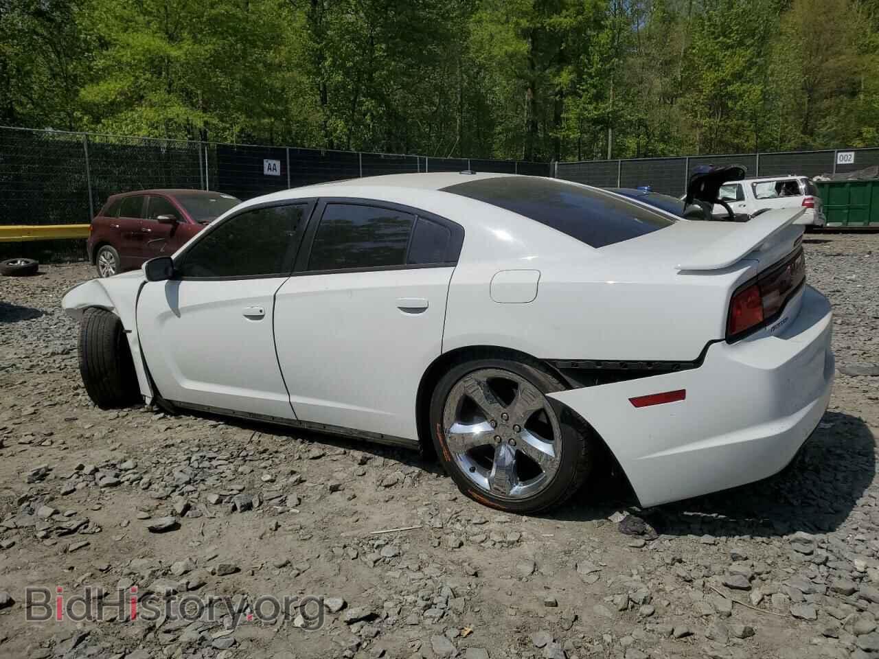 2011 DODGE CHARGER - VIN: 2B3CL5CT1BH503432 - Фото 2