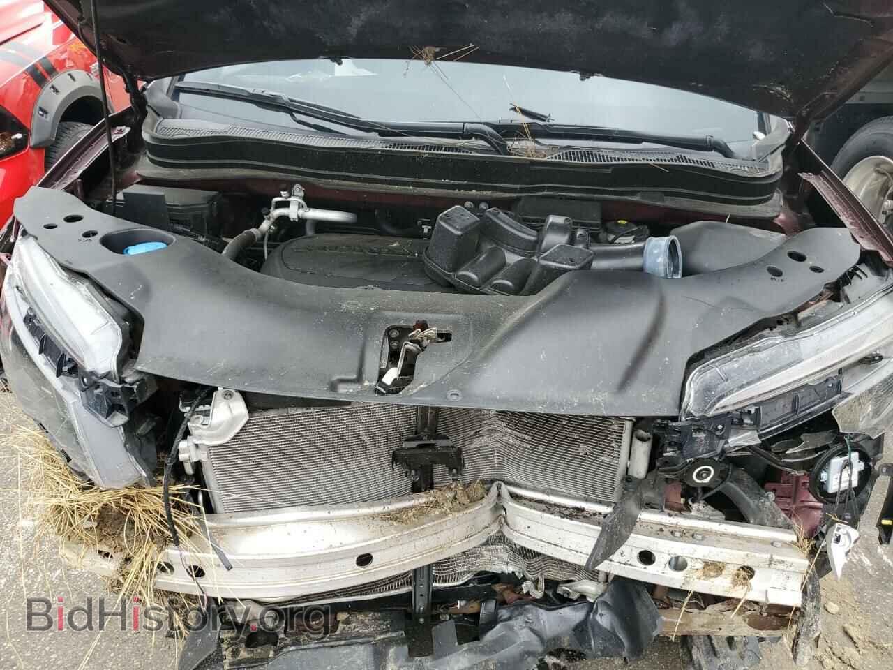 2019 HONDA PILOT - VIN: 5FNYF6H15KB031069 - Фото 7