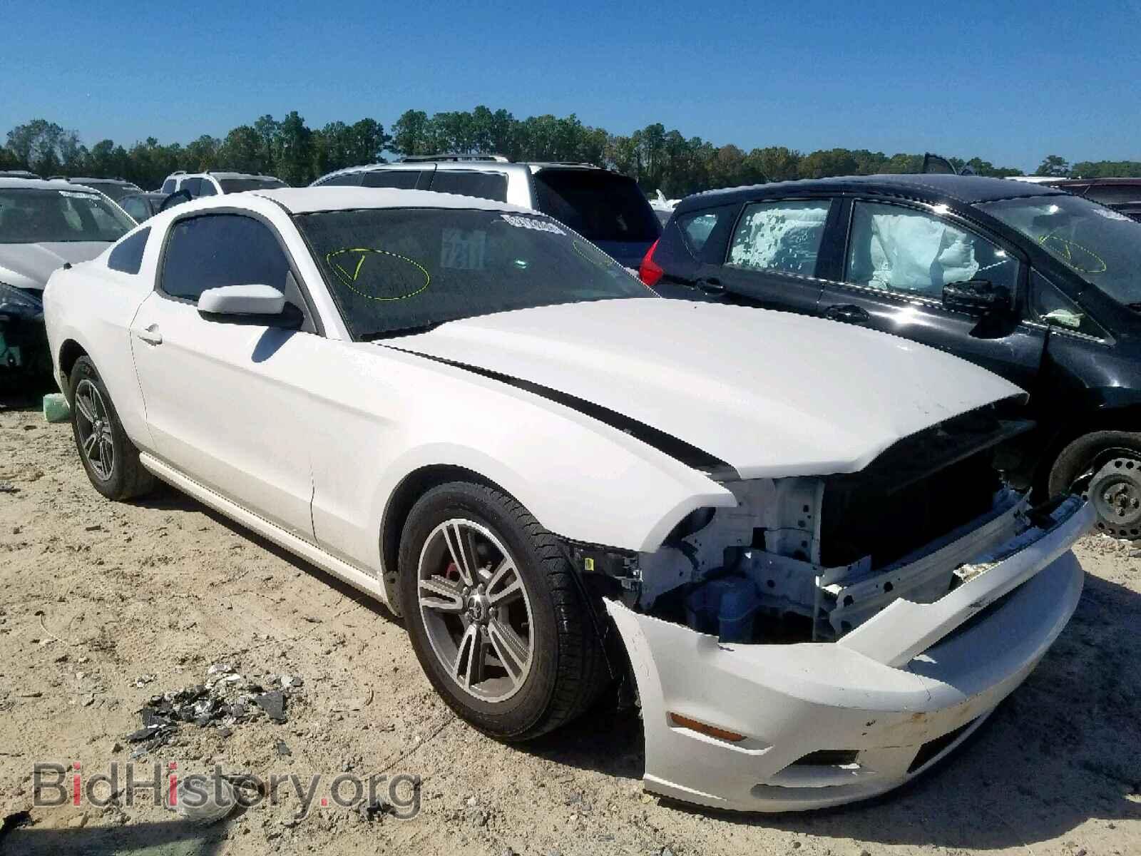 Фотография 1ZVBP8AM8D5233960 - FORD MUSTANG 2013