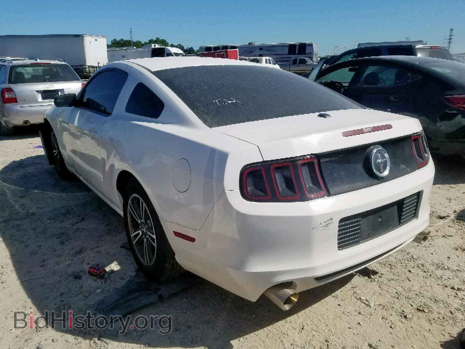 2013 FORD MUSTANG - VIN: 1ZVBP8AM8D5233960 - Фото 3