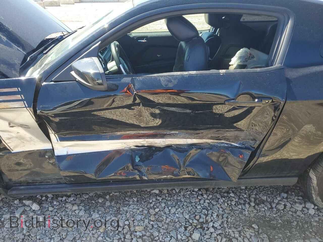 2011 FORD MUSTANG - VIN: 1ZVBP8CF6B5116485 - Фото 7