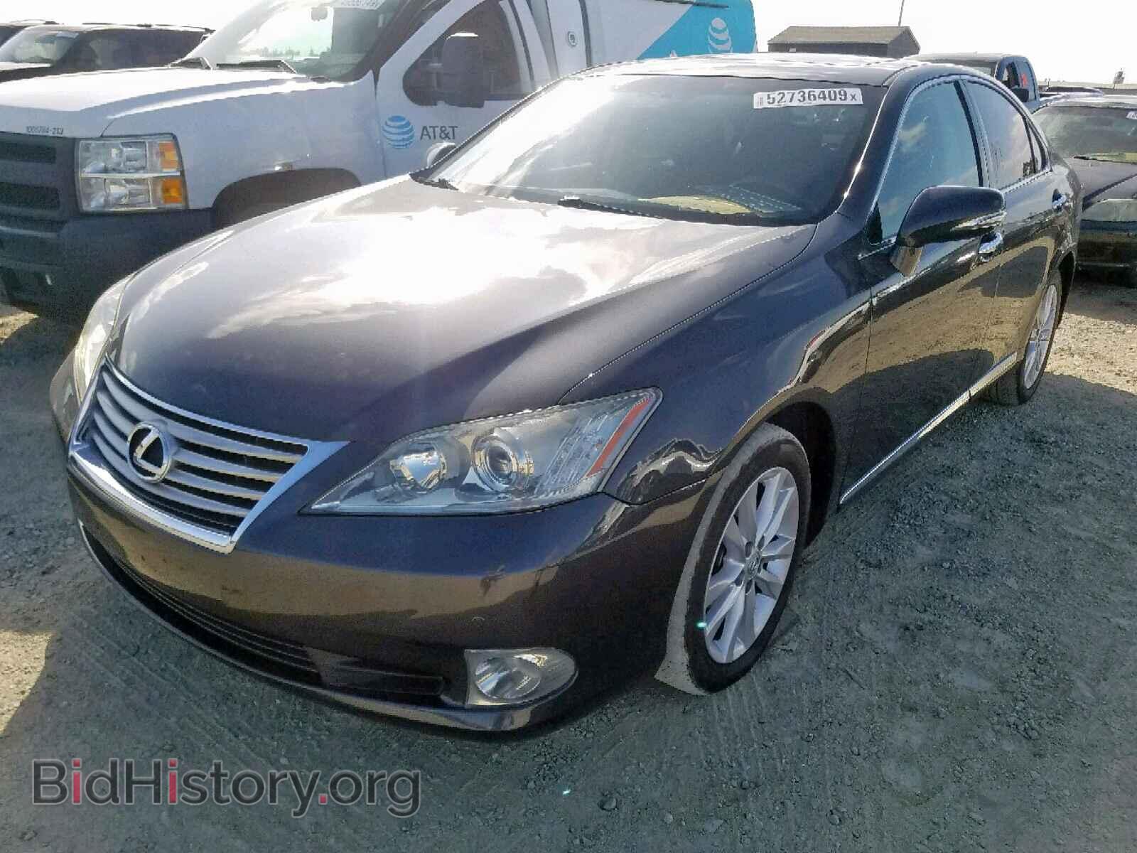 2010 LEXUS ES350 - VIN: JTHBK1EG8A2376464 - Фото 2