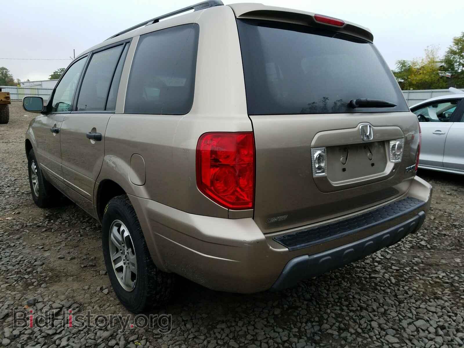 2005 HONDA PILOT - VIN: 5FNYF18515B037459 - Фото 3