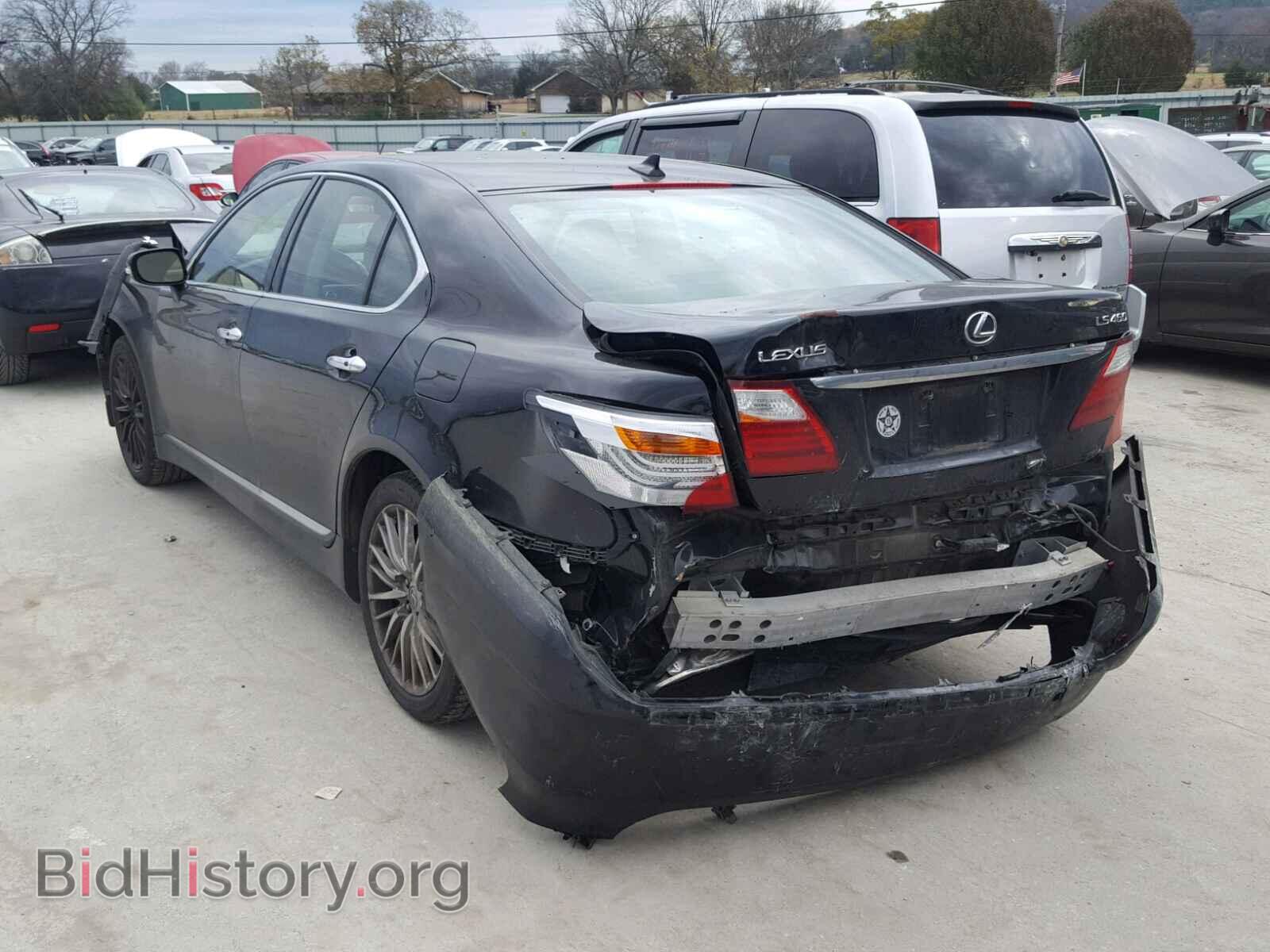 2010 LEXUS LS460 - VIN: JTHBL5EF9A5094635 - Фото 3