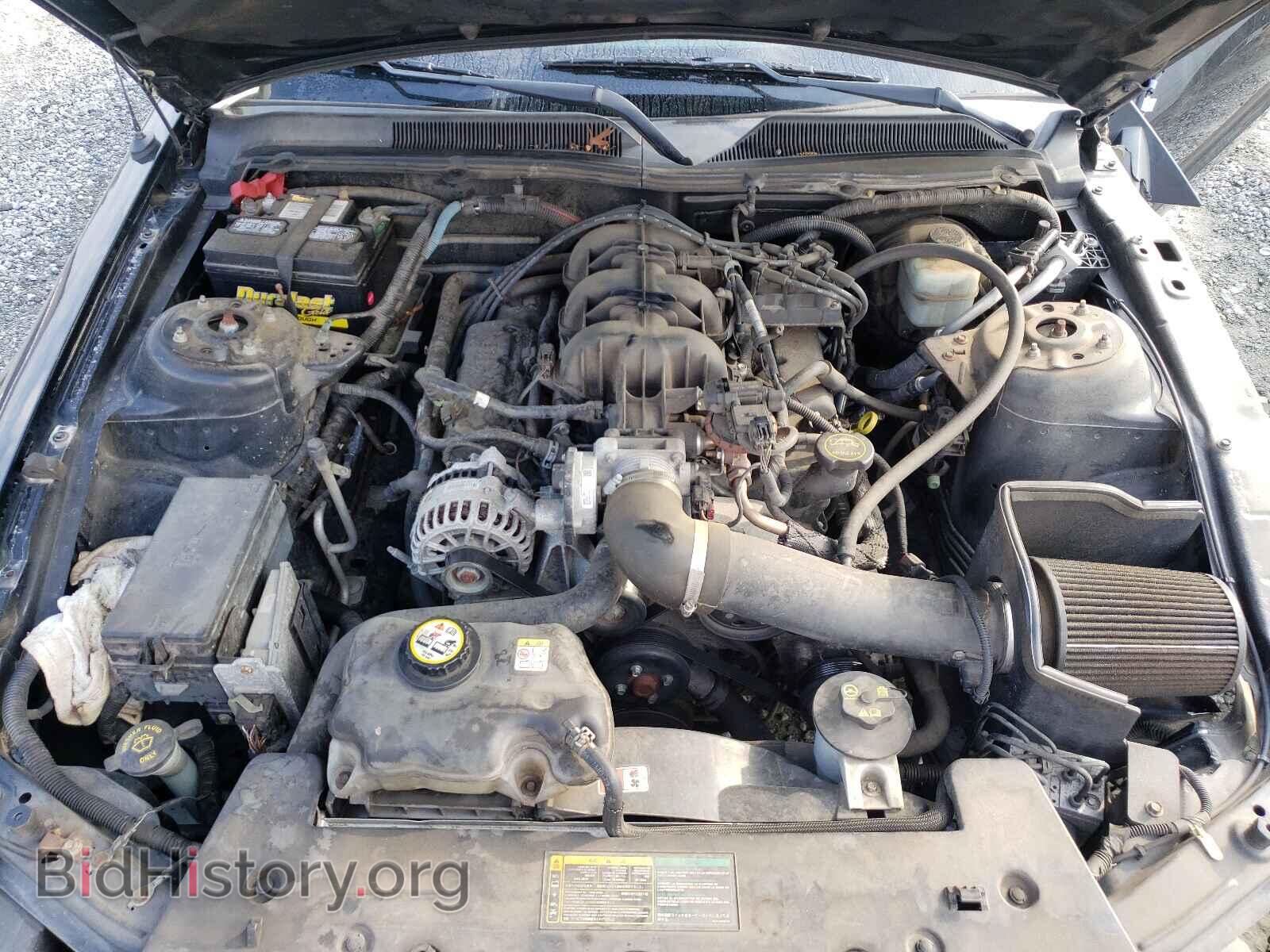 2006 FORD MUSTANG - VIN: 1ZVFT80N565247910 - Фото 7